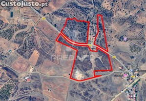 imagem_32