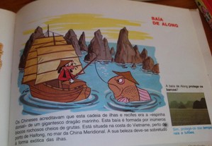 imagem_6