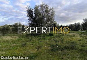imagem_15