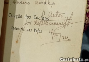 imagem_11