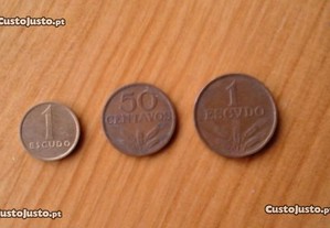 Plástico com moedas colecção