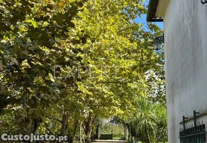 imagem_28