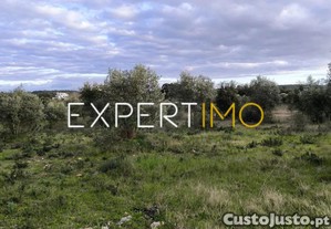 imagem_11