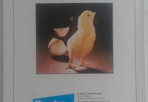 imagem_6