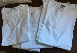 Lote 5 t-shirts básicas (M)