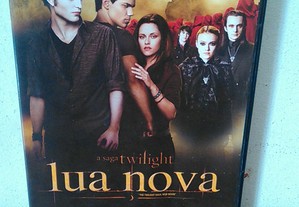 imagem_7