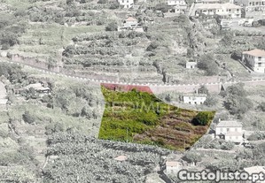 imagem_10