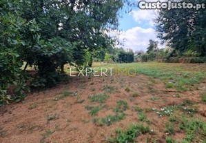imagem_14