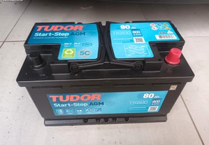 Bateria Tudor AGM TK800 12V 80Ah 800A