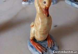imagem_8
