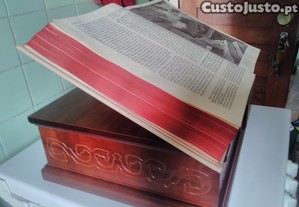 imagem_2