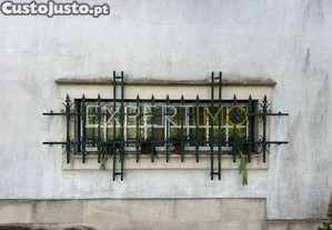 imagem_29