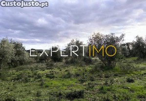 imagem_10