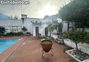imagem_22