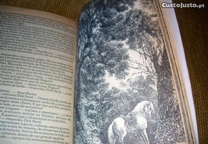 imagem_4