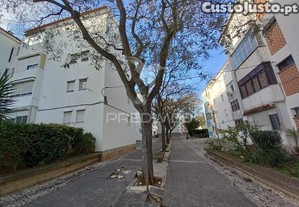 imagem_16