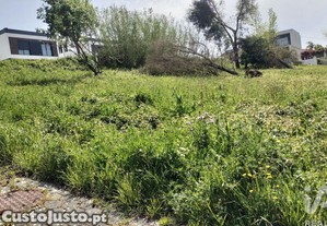 imagem_26