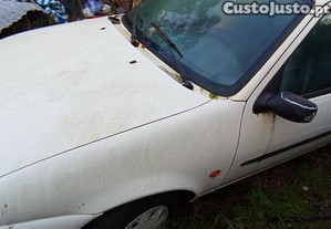 imagem_1