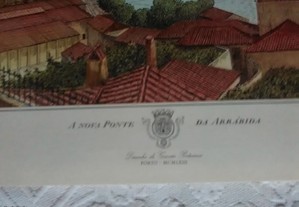 imagem_8