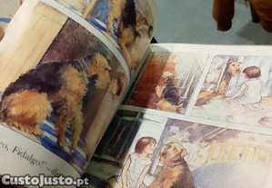 imagem_5