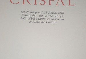 imagem_3