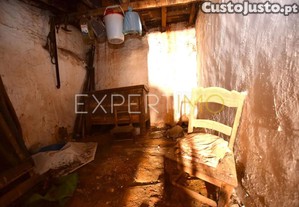 imagem_9