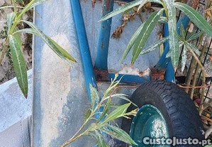 Cariola para jardim ou obras