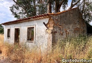 imagem_10