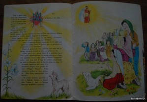 imagem_7