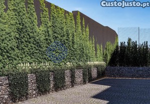 imagem_13