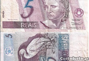 imagem_7
