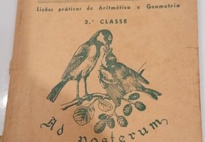 Caderno de Aritmética, Série Escolar Figueirinhas