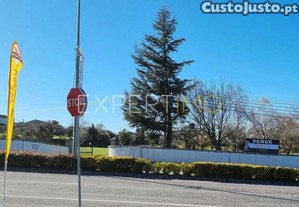 imagem_7