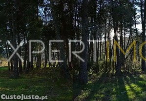 imagem_27
