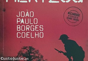imagem_1