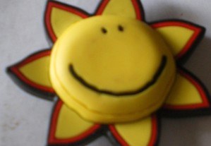imagem_6