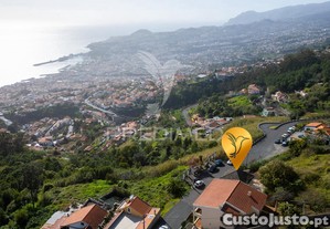 imagem_25