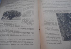 imagem_7