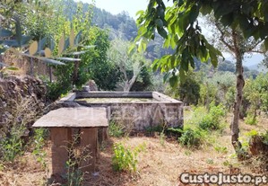 imagem_9