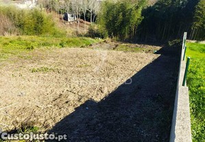 Terreno urbano em mamodeiro