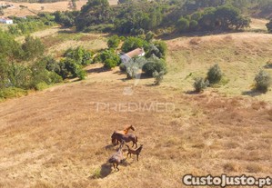 Monte típico alentejano no cercal do alentejo