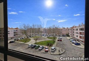 imagem_20