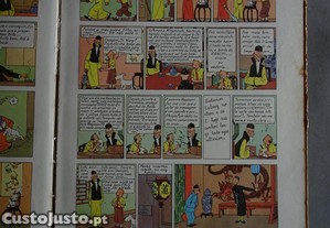 imagem_4