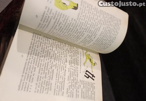 imagem_7
