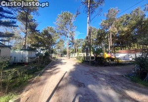 imagem_22