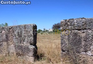 imagem_8