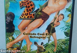 imagem_13