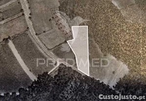 Terreno em angeja
