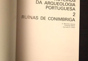 imagem_3
