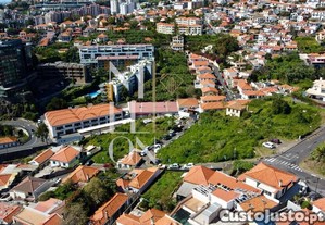 imagem_15